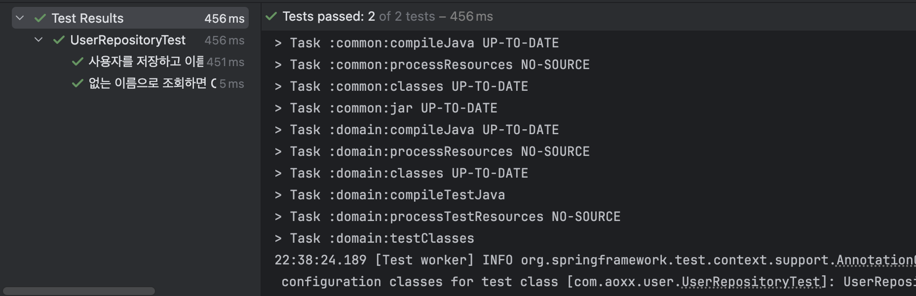 Domain 모듈 테스트 성공
