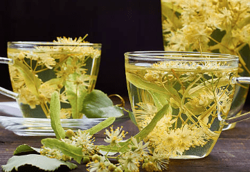 우엉차 효능 10가지 및 부작용