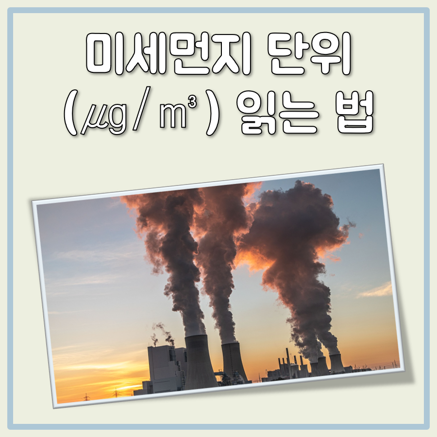 미세먼지 농도 단위 읽는법 대표 이미지