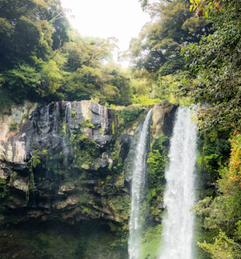제주도 렌트카 비교사이트