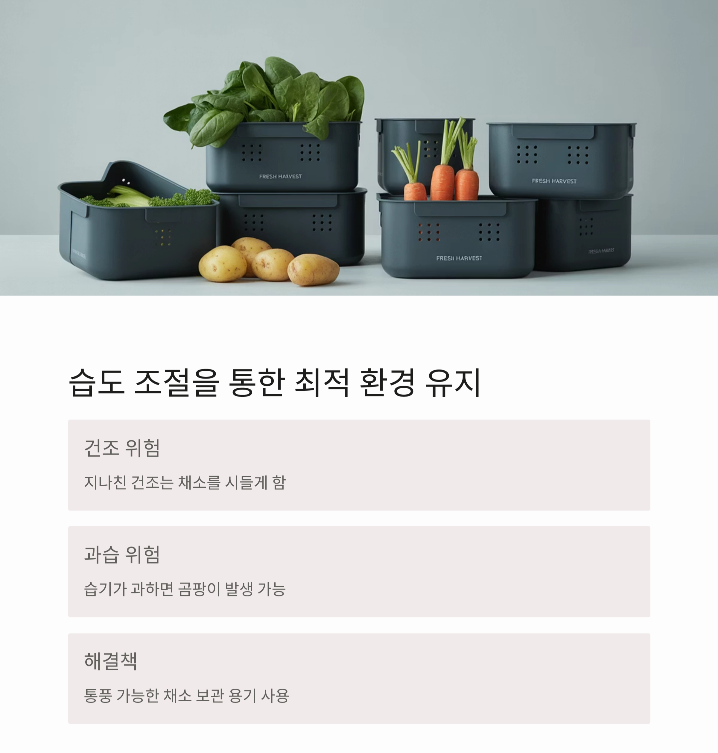 채소 오래 보관하는 과학적인 방법, 신선함 지키는 비밀