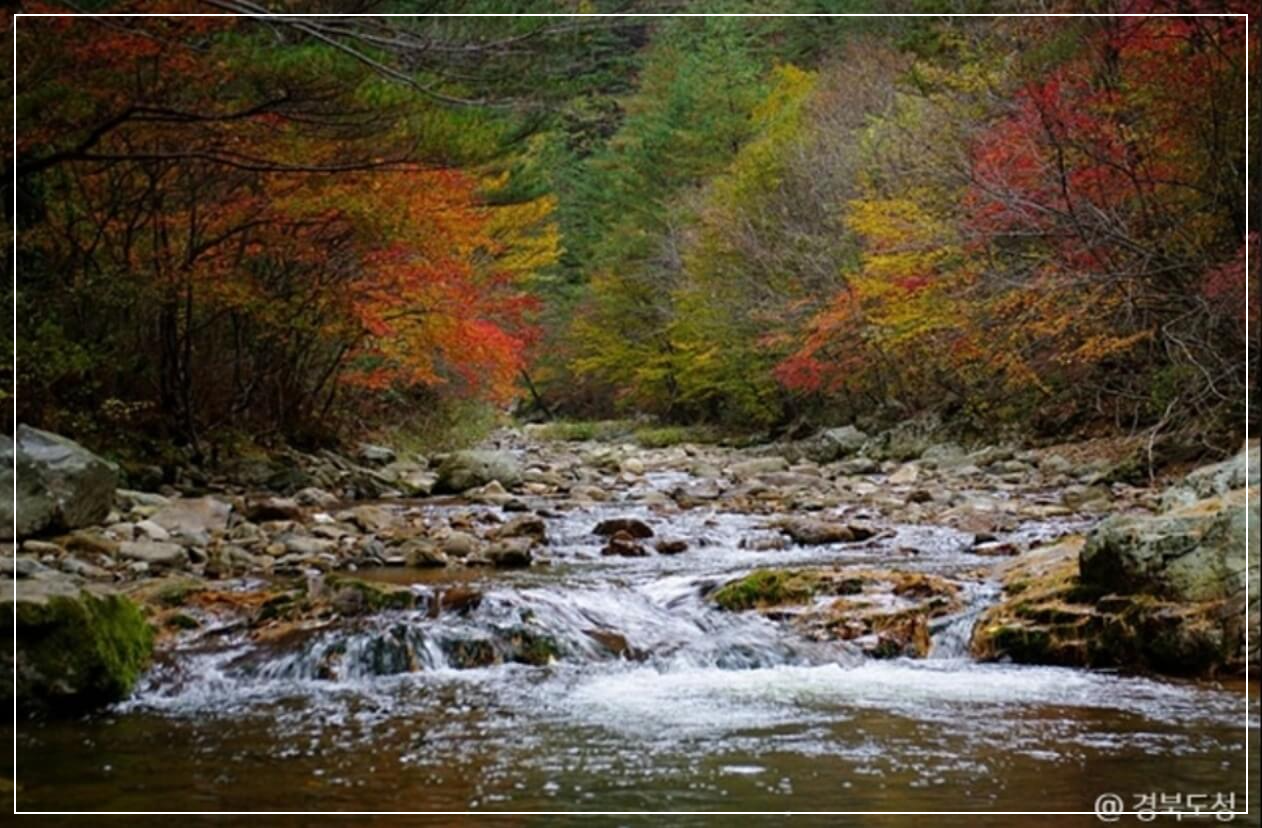 봉화 가볼만한곳 베스트10 백천계곡