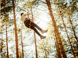 향로산 자연휴양림 예약