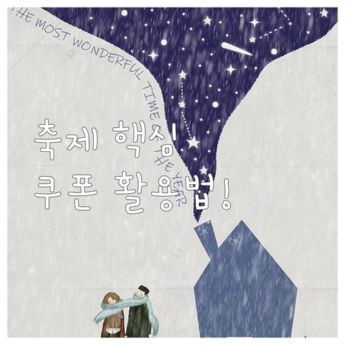 민생회복 소비쿠폰: 축제 결제 방식과..