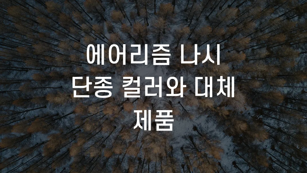 에어리즘 나시 단종 컬러와 대체 제품