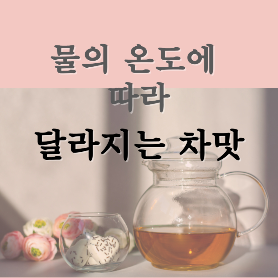 물의온도에따라 달라지는 차맛