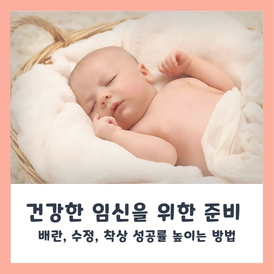 임신 과정: 배란, 수정, 착상 원리와 성공률 높이는 방법