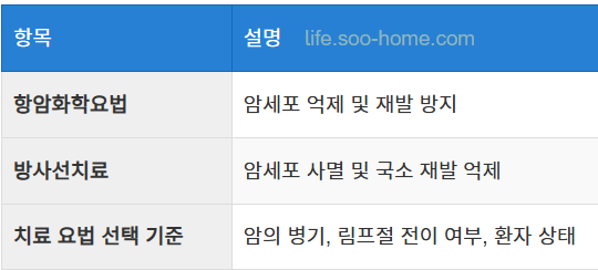 보조 항암화학요법과 방사선치료의 필요성