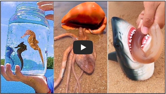 낚시 유튜버 순위 TOP 10 10