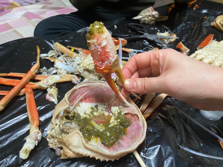 대게살-손질