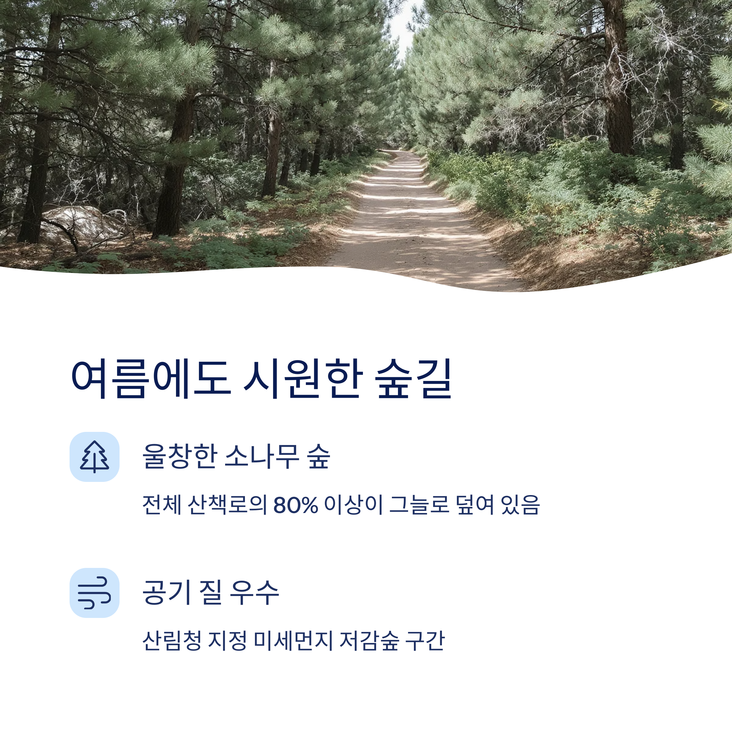 숲길이라 여름에도 시원