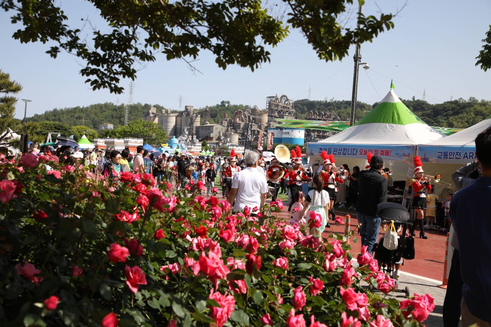 삼척장미축제 주요 프로그램