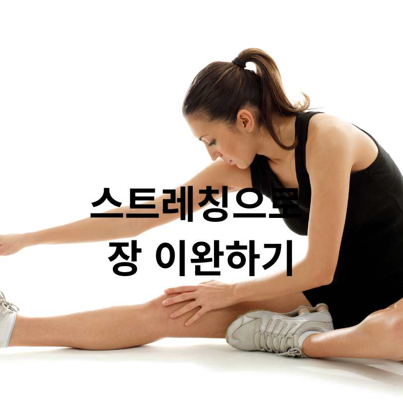 변비 해결 운동 BEST 7