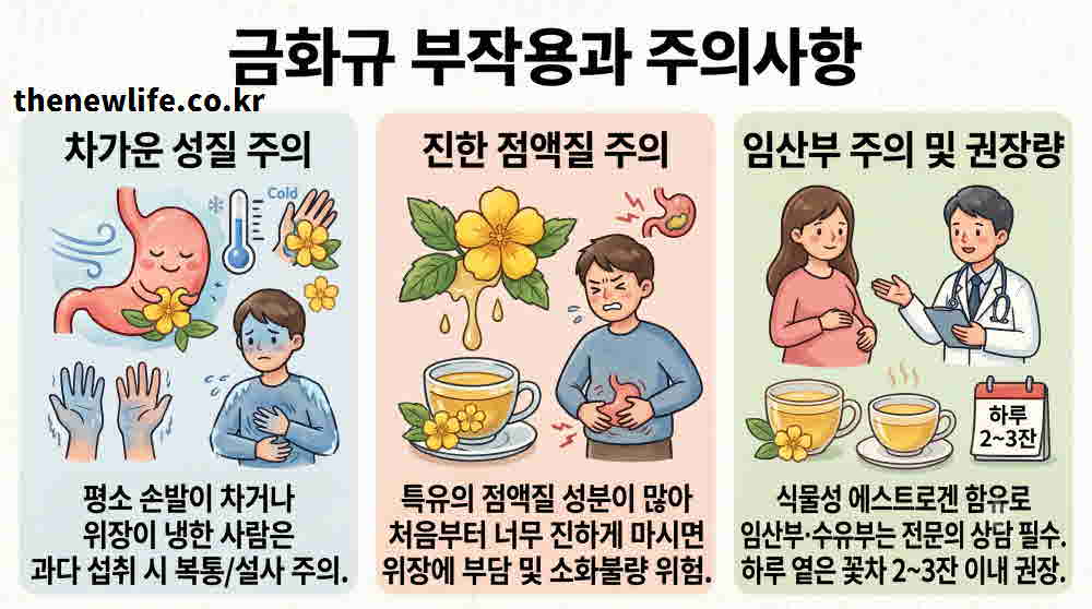 금화규 효능 부작용