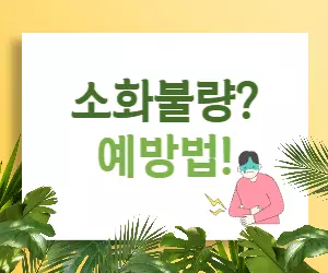 소화불량 예방법 완벽 가이드: 오늘부터 속 편하게!