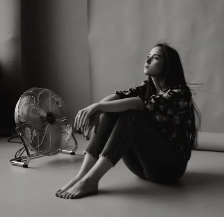 써큘레이터 vs 선풍기 차이점 및 구매가이드