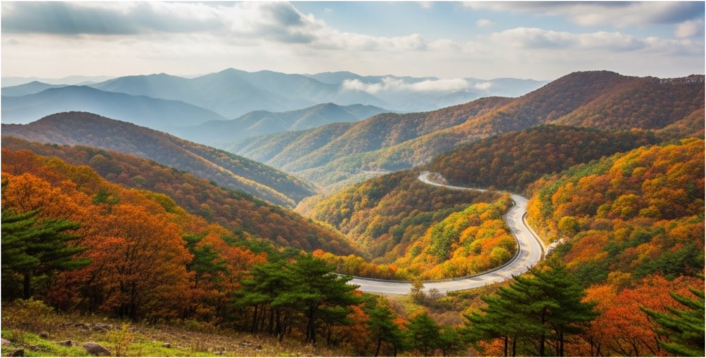 대환장 기안장2