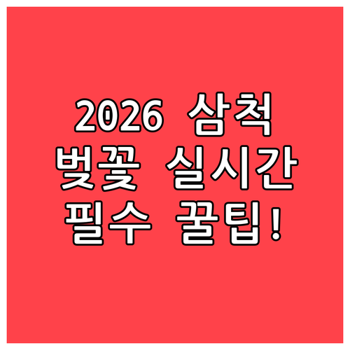2026 삼척 벚꽃 축제 일정 및 실..
