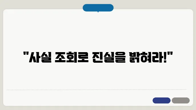 사실 조회 신청