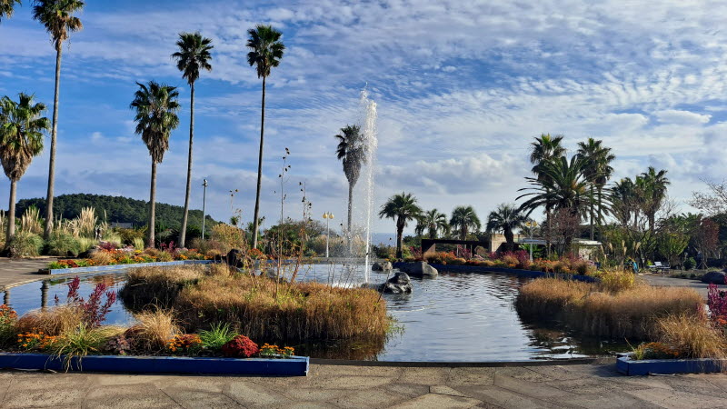 제주여행_여미지식물원