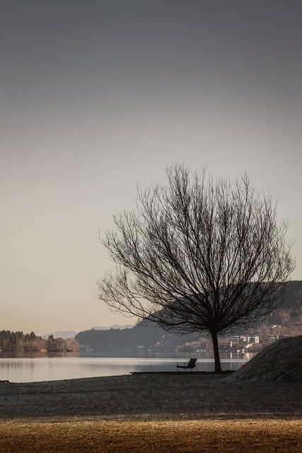 겨울 날씨 초봄 날씨