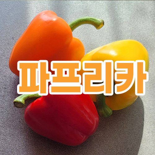 파프리카