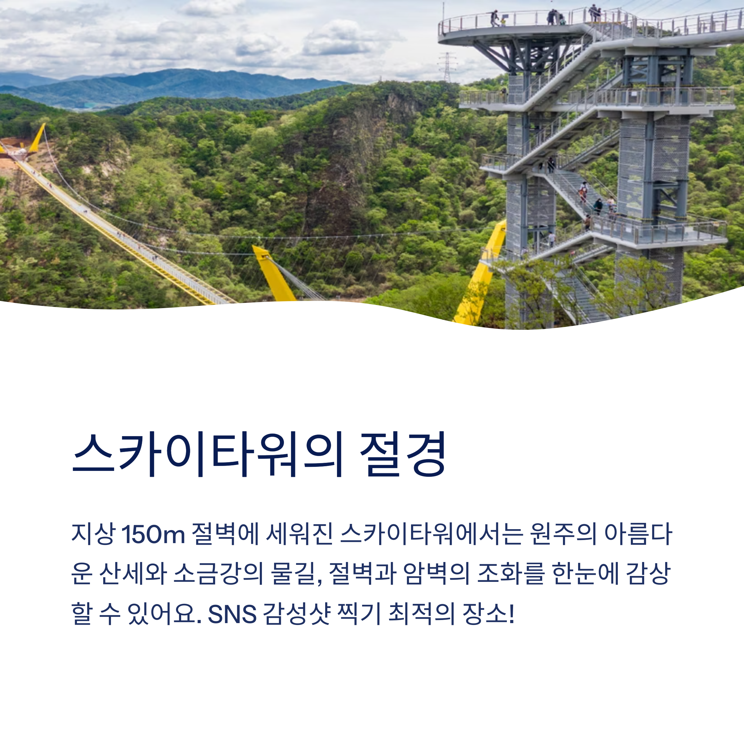 스카이타워의 절경