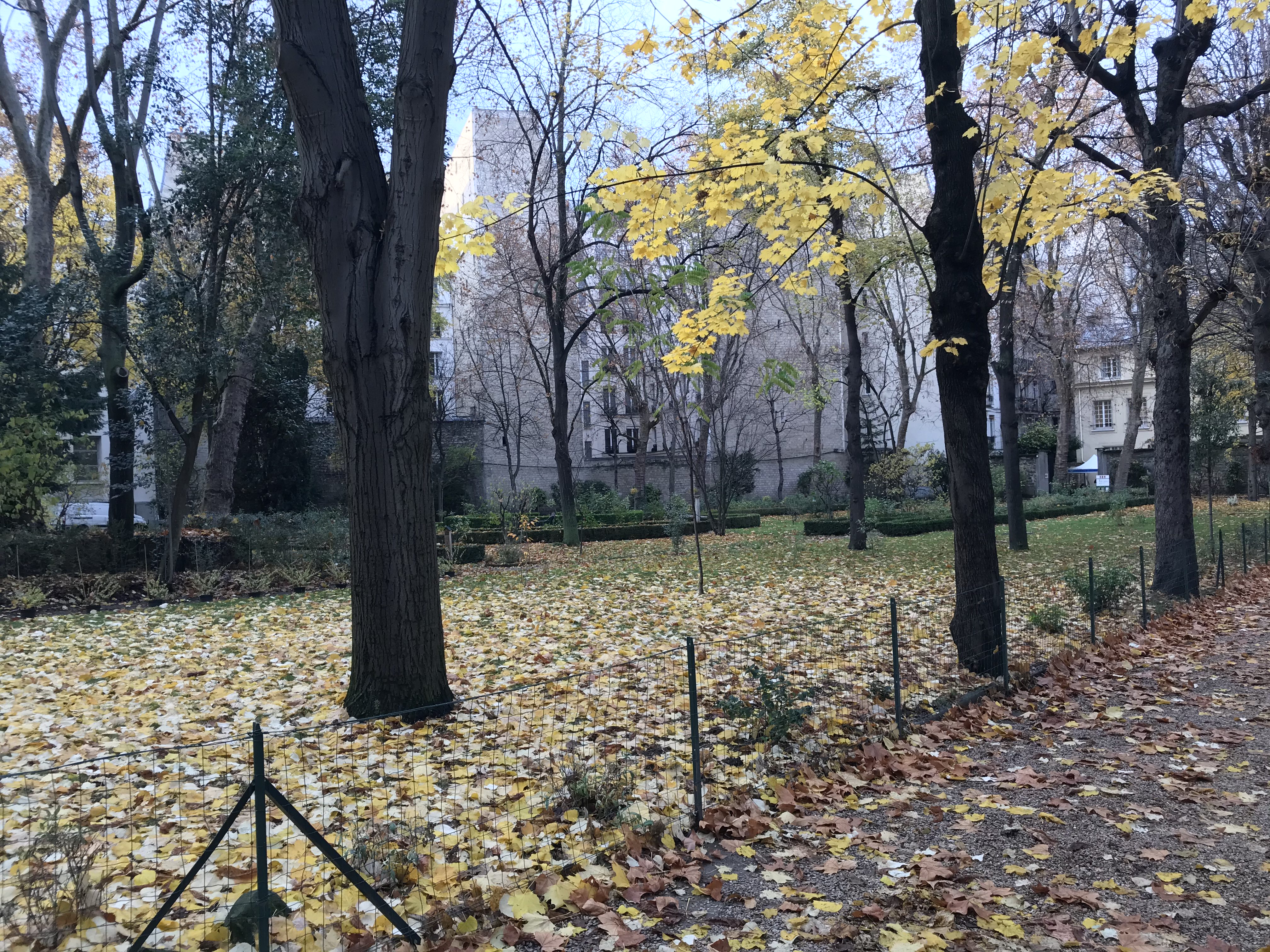 카톨릭 대학교 안뜰