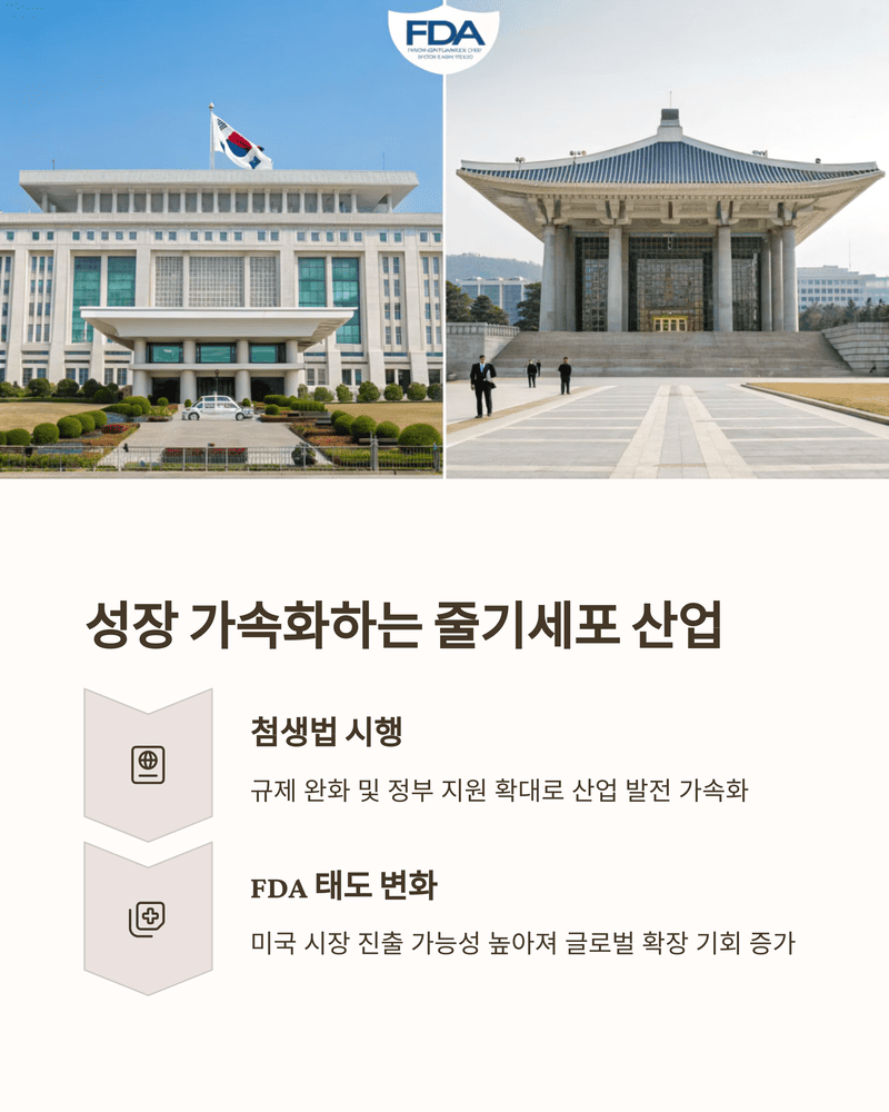 줄기세포 관련주 및 시장 현황