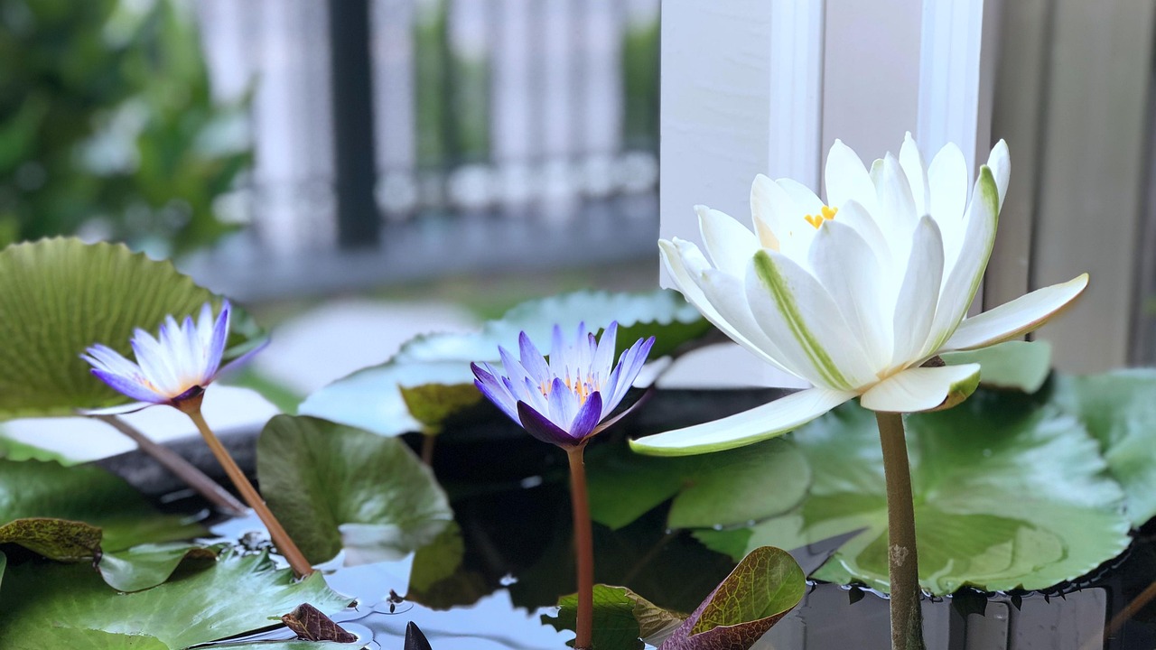 충청도 숨은 명소, 당일 코스 사찰 탐방