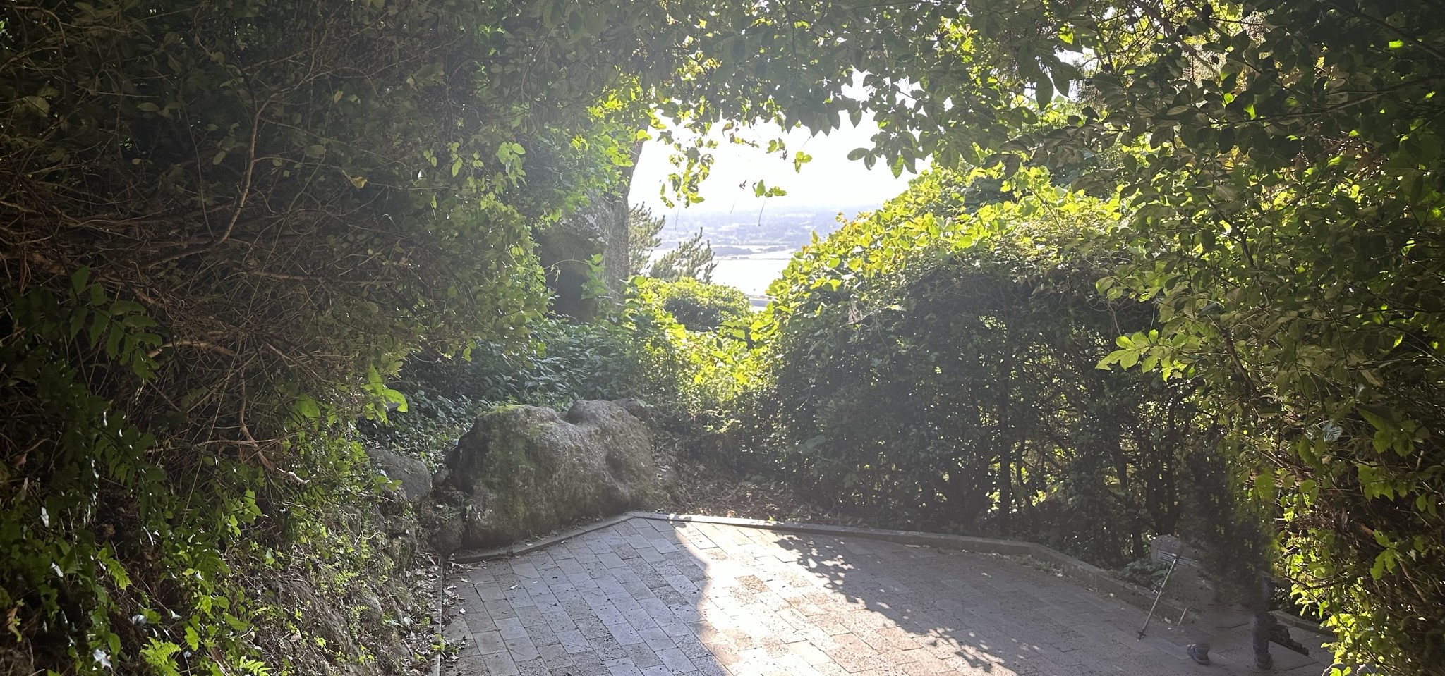 등반로