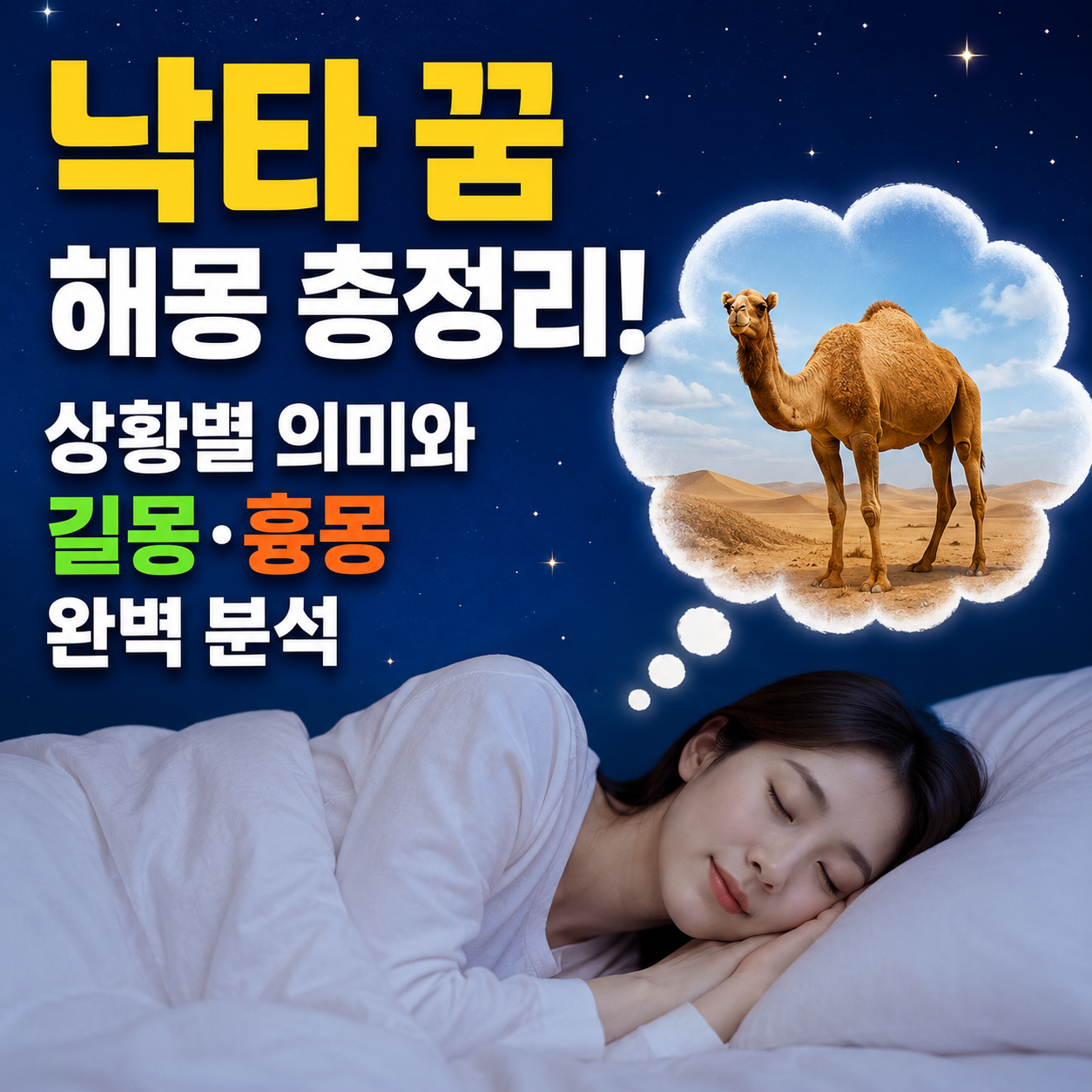 낙타 꿈