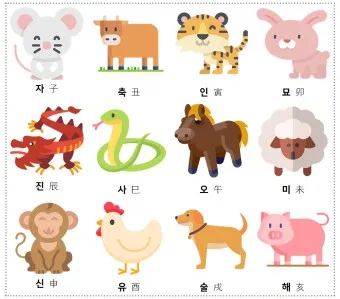 자축인묘진사오미 12간지 띠 2025년 성격_10