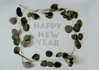 2025년 을사년 달라지는 제도