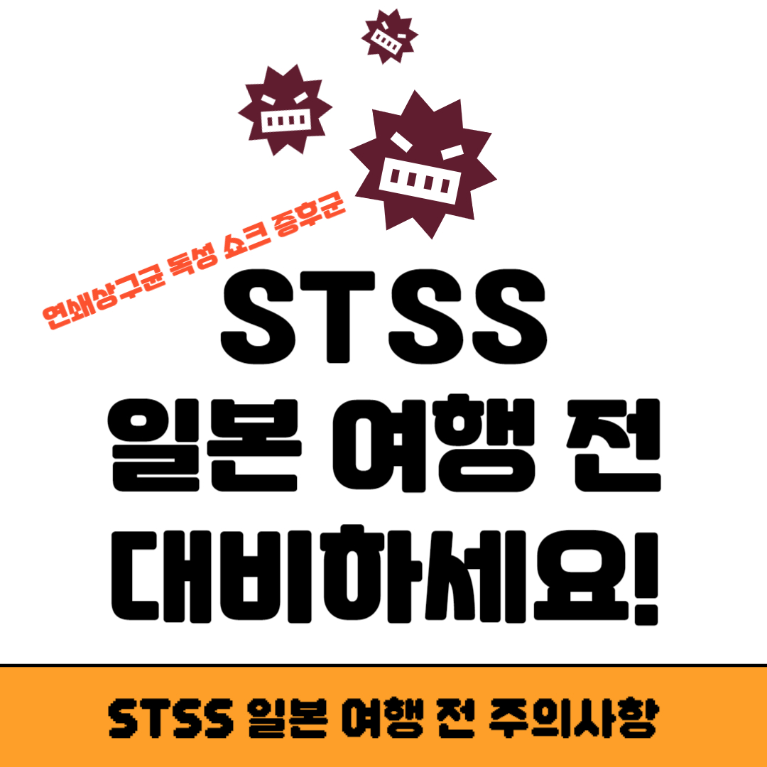 STSS 일본 여행 전 주의사항