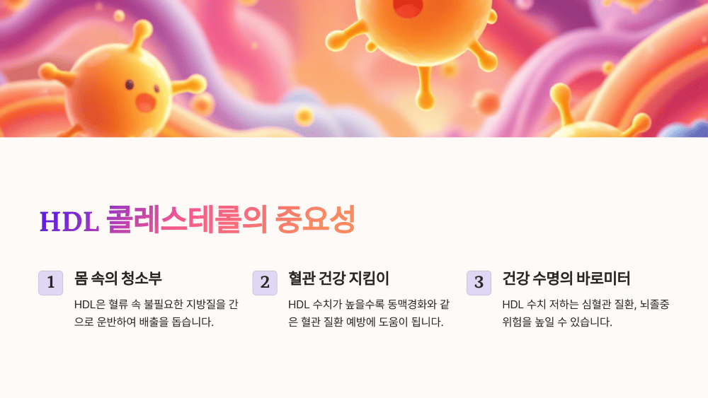왜 'HDL 콜레스테롤'이 중요한가?