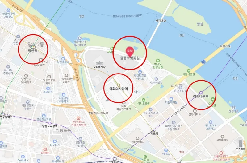 여의도 벚꽃축제 가는길