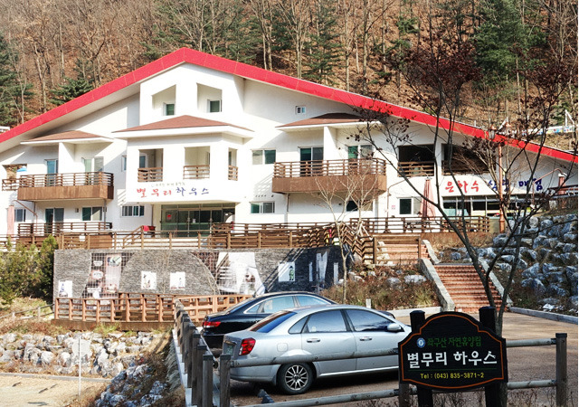 2025 증평인삼골축제&amp;#44;인삼 체험 축제