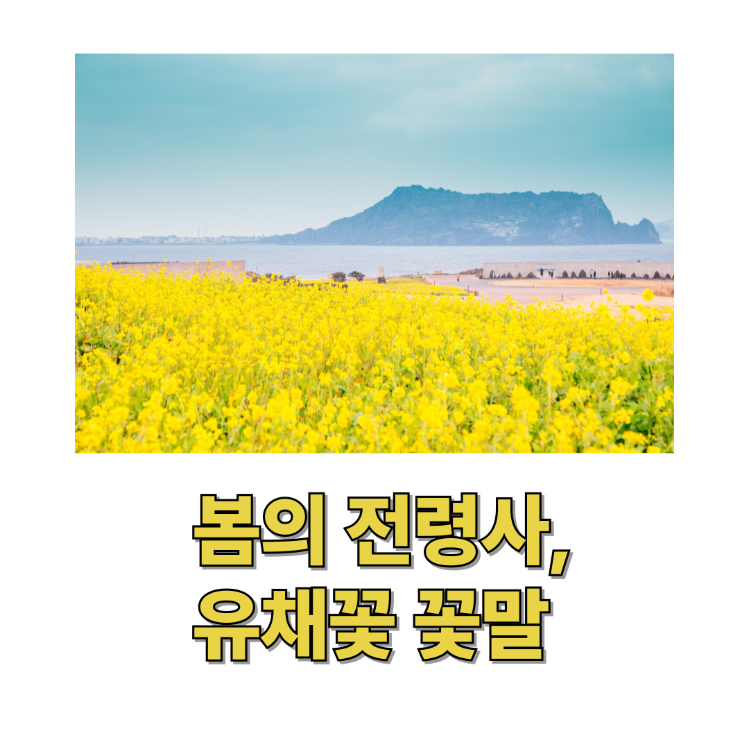 봄의 전령사, 유채꽃 꽃말