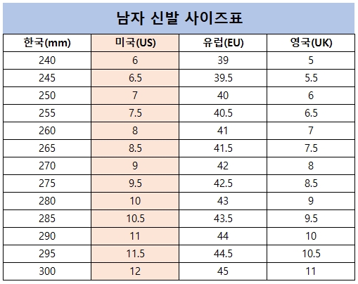 미국 신발 사이즈표 남자