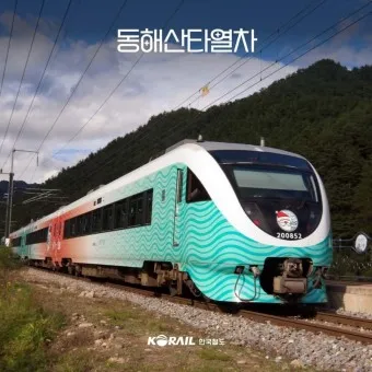 동해산타열차 시간표 예매가능한 날 가격_5