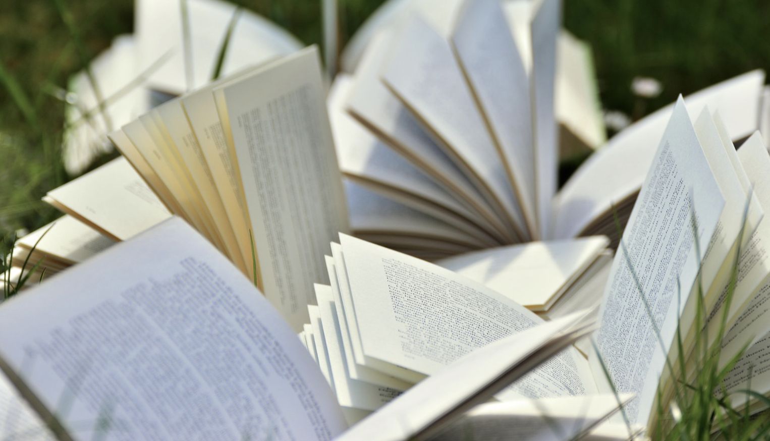 시대별 독서 트렌드 변화 : 10년 전, 20년 전 인기 있던 책과 현재 비교