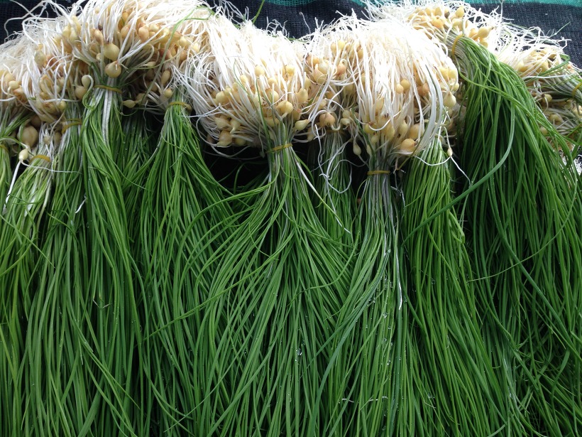 [달래] 달래 효능과 부작용 &ndash; 봄철 제철 식재료의 건강한 섭취법