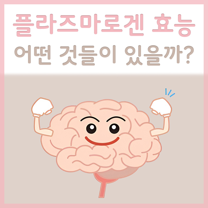 건강한-뇌-모습