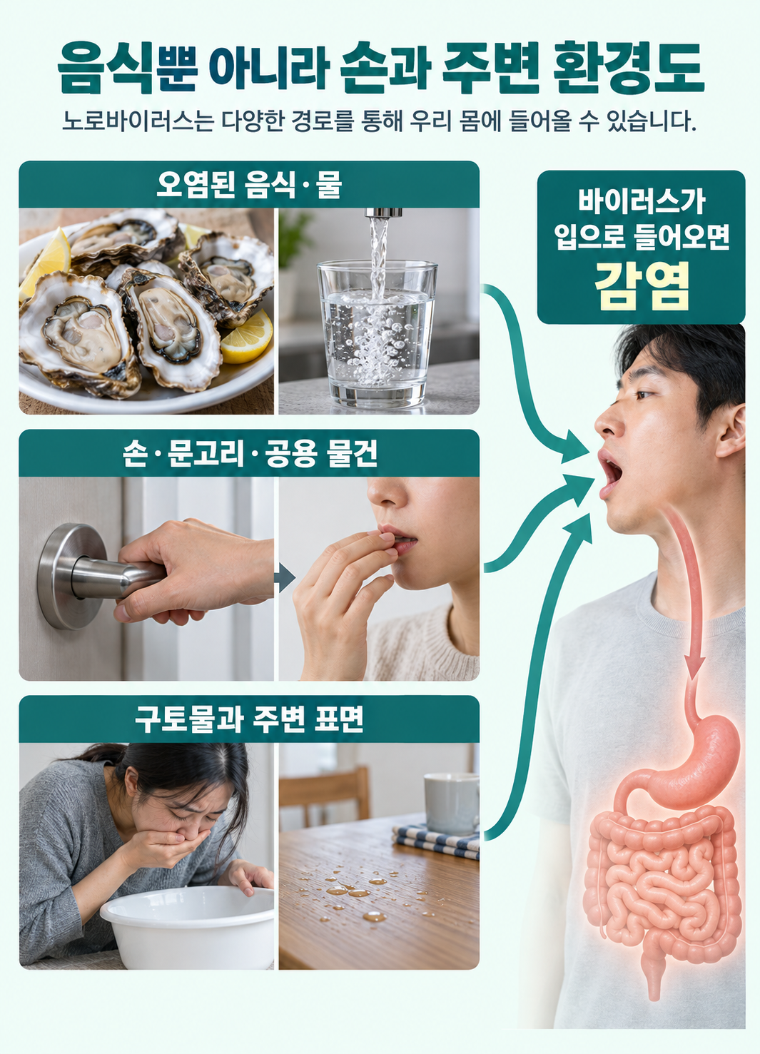 오염된 음식·물, 손과 공용 물건, 구토물 주변 오염이라는 세 경로가 입을 통한 감염으로 이어지는 관계. 호흡기 폐 감염도나 피부 흡수로 표현하지 않음.
