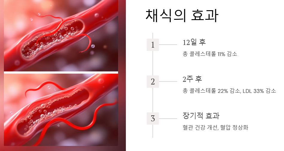 채식의 효과