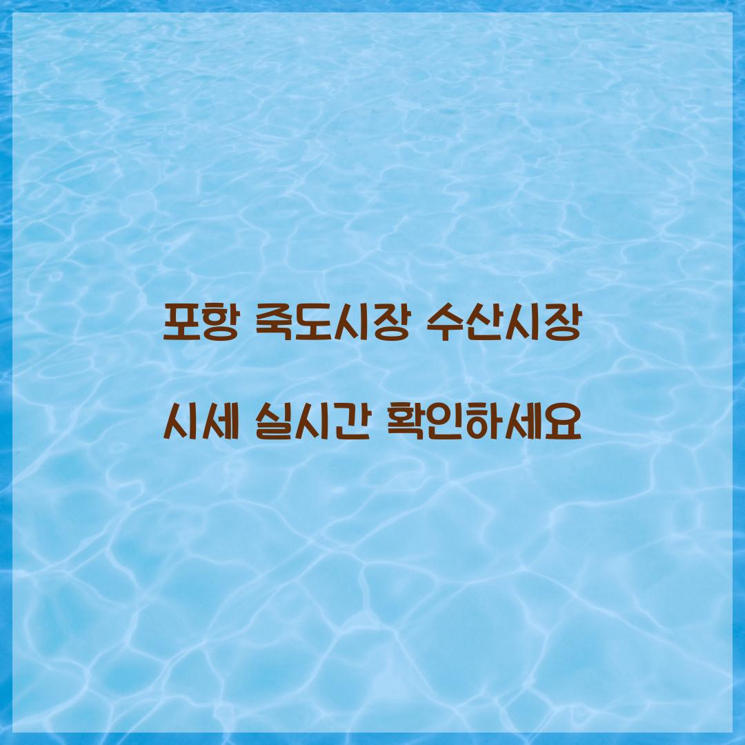 포항 죽도시장 수산시장 시세 실시간 확인