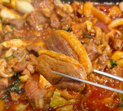 반석오리