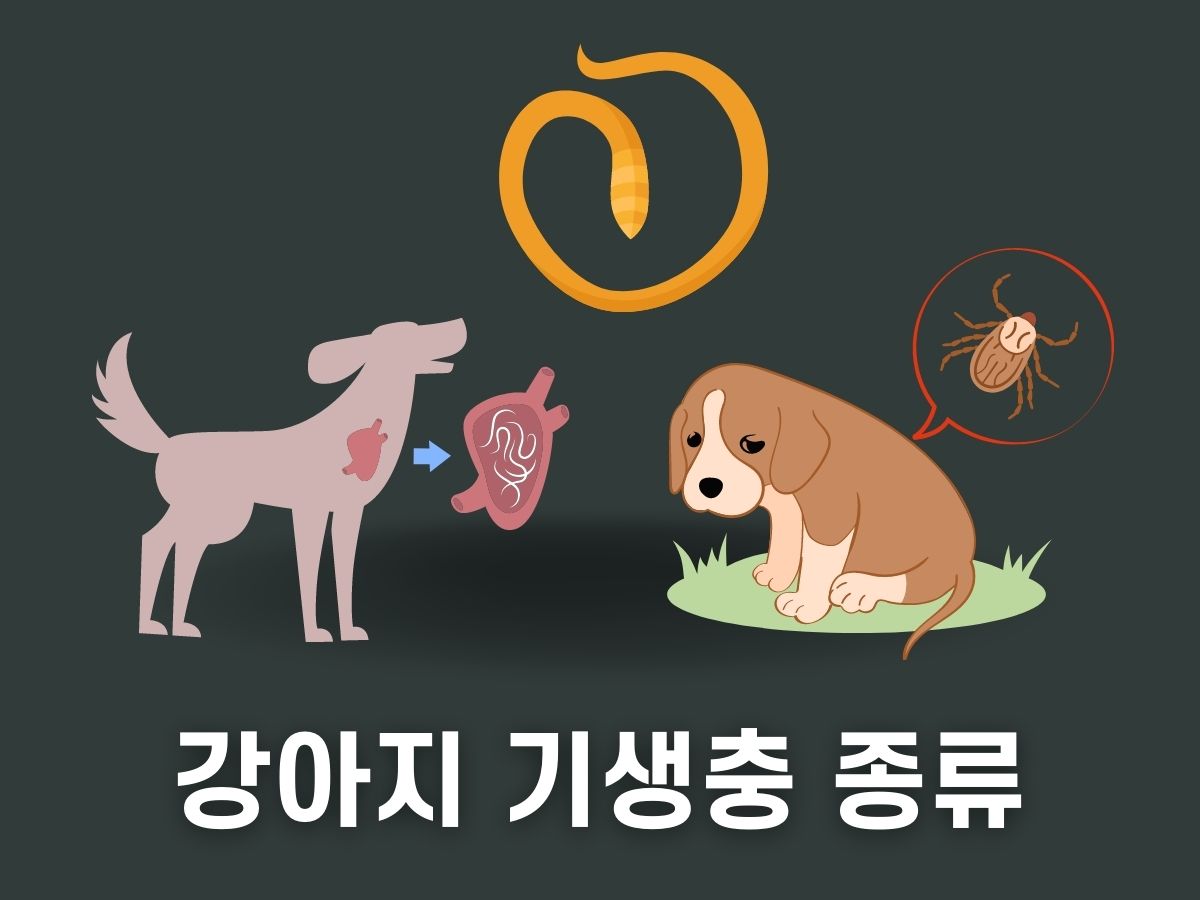 강아지 기생충 종류