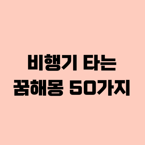 비행기타는꿈